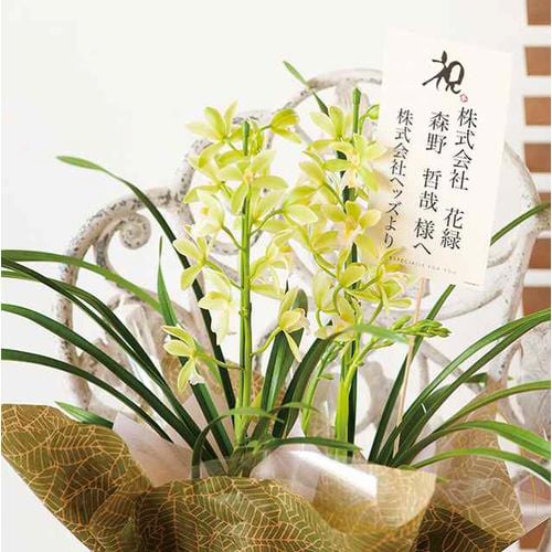 メッセージギフトカード MGC−OI 20枚×3