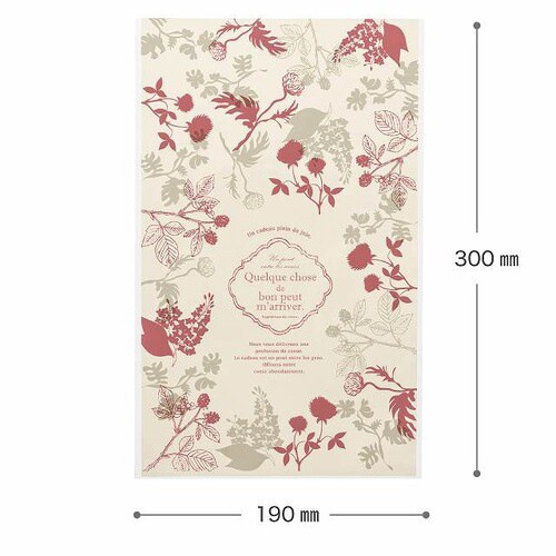 モダンリラックスOPPギフトバッグ−3 50枚×3