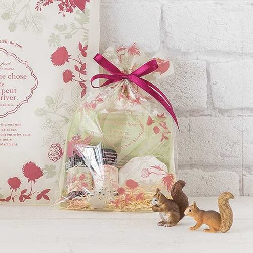 モダンリラックスOPPギフトバッグ−4 50枚×5