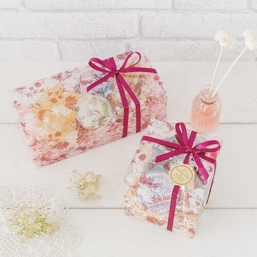 モダンリラックスPETBOX−1 10枚