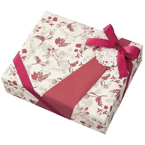 モダンリラックス包装紙−1 50枚×2