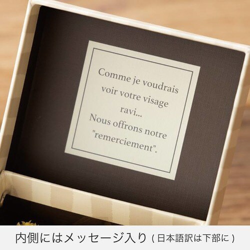 モロッコタイルオープンボックス−S 6個×2