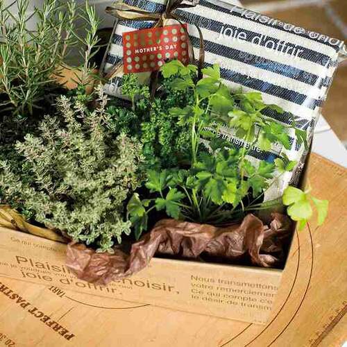 ラッピングカラーペーパー−ブラウン 200枚×2