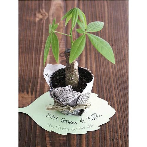 リーフダイカットカード−1 30枚×5