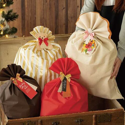 リボン付フォトプリントワイヤータイ−2 10個×5