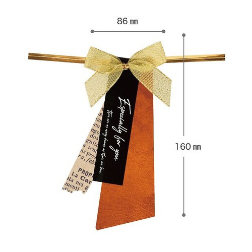 リボン付フォトプリントワイヤータイ−2 10個×5