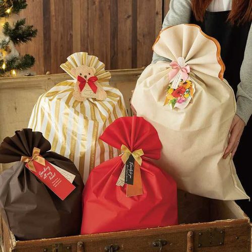 リボン付フォトプリントワイヤータイ−4 10個×5