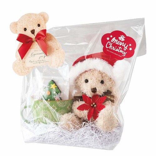 リボン付フォトプリントワイヤータイ−4 10個×5