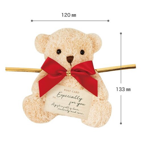 リボン付フォトプリントワイヤータイ−4 10個×5