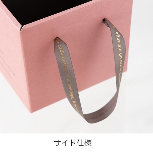 ルレーブリボンハンドルボックス−L 10枚