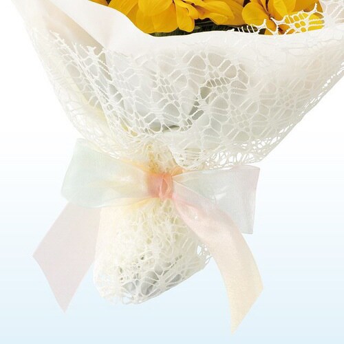 レインボーオーガンジーリボン−1 1巻×3