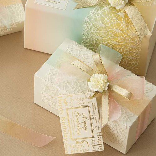 レインボーオーガンジーリボン−2 1巻×2