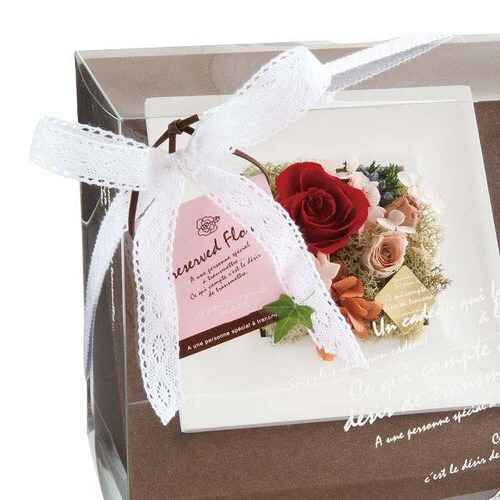 レースコットンリボン−1 1巻×2