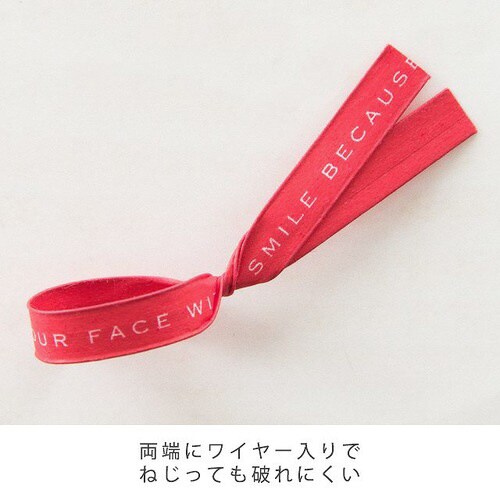 レターワイヤータイ/レッド 100本×5