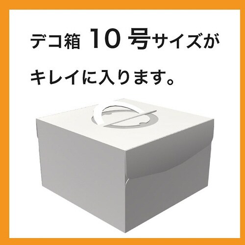 ワイド型フロストバッグ−4 10枚×2