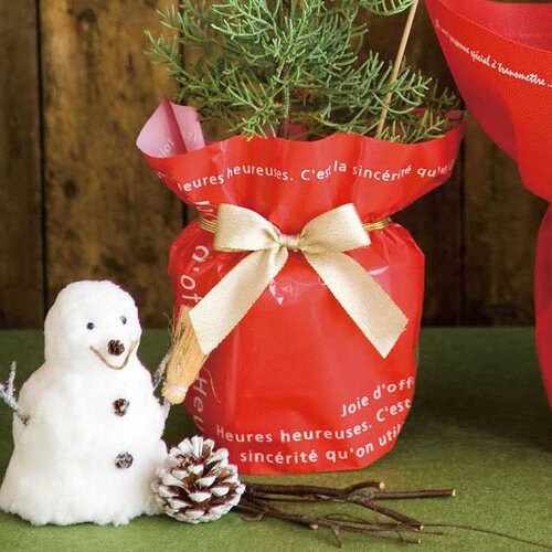 ワンタッチゴムリボン−シャインゴールド 30個×2