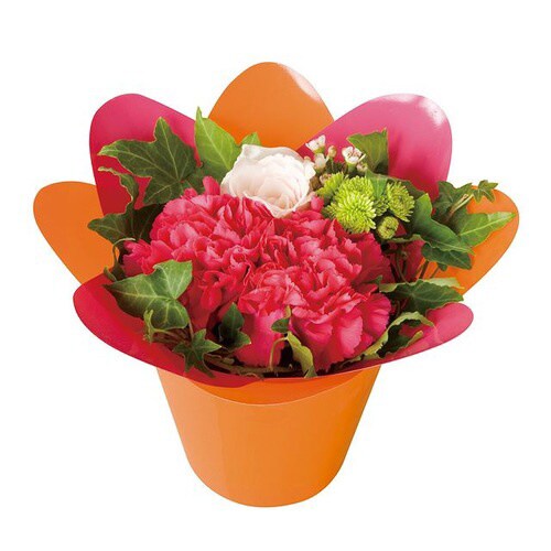 花型ポット/レッド−3 20個×5