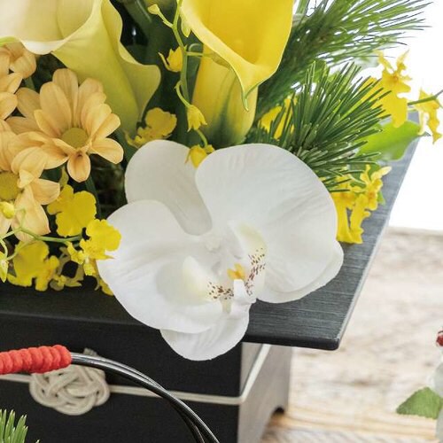 胡蝶蘭フルリールーS/ホワイトー1 10本×2