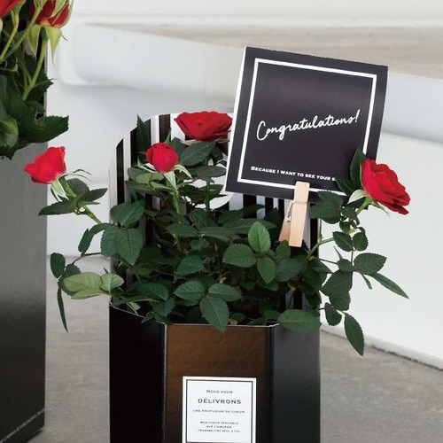 二つ折スタイリッシュメッセージギフトカード−4×5