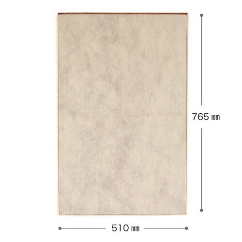 不織布ギフトバッグクリーム−BL 10枚