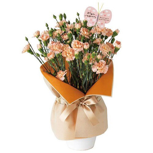 不織布ポットカバーシート−L/ベージュ 10枚×2