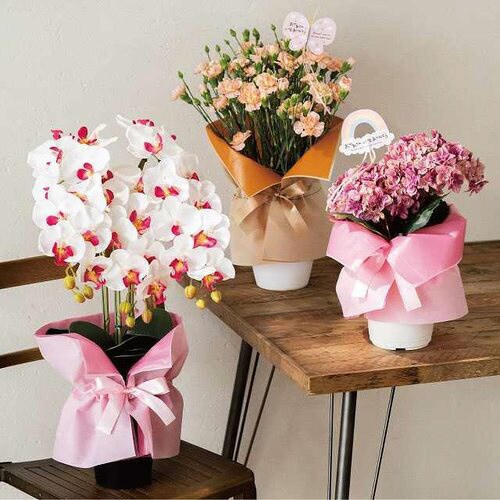 不織布ポットカバーシート−L/ピンク 10枚×2