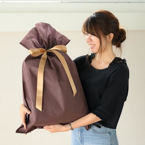 不織布リボン付バッグブラウン−L 10枚