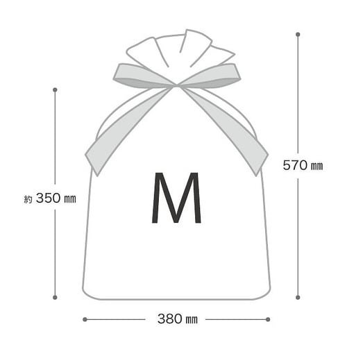 不織布リボン付バッグブラウン−M 10枚