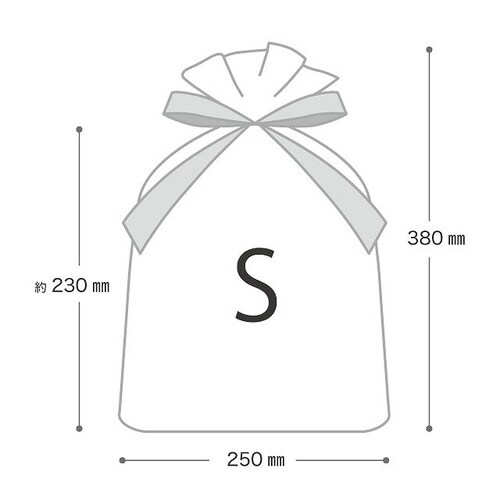 不織布リボン付バッグブラウン−S 10枚×2