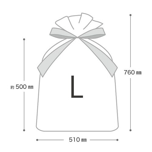 不織布リボン付バッグブラック−L 10枚