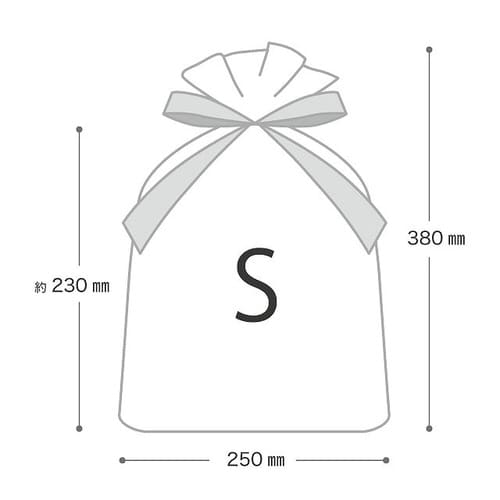 不織布リボン付バッグブラック−S 10枚×2