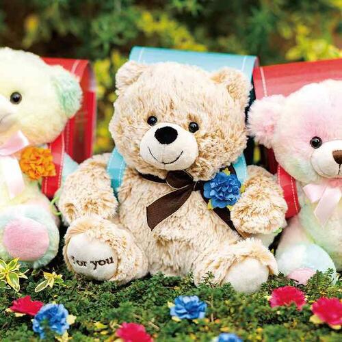 抱きつきアニマル/くまのマックス−S 4個