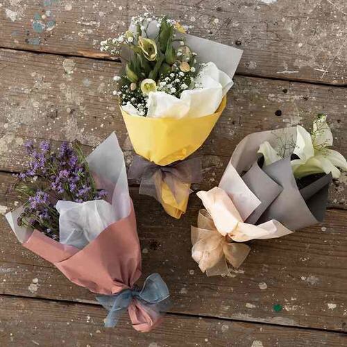 無地PEロール−3/クリーム 1巻×2