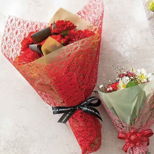 無地PEロール−5/クラフト 1巻×2