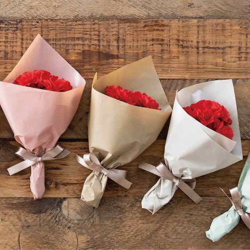 無地PEロール−5/クラフト 1巻×2