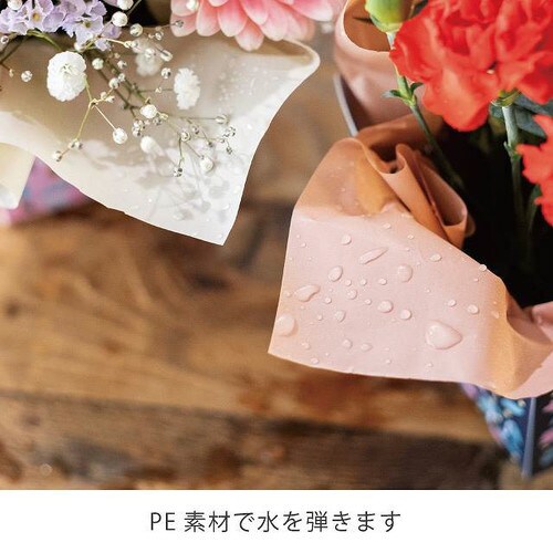 無地PEロール−6/グレージュ 1巻×2