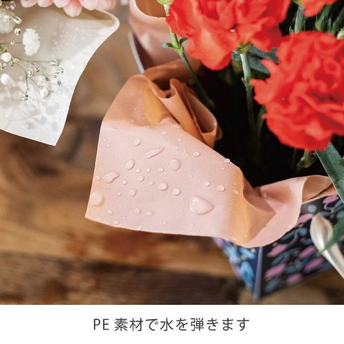 無地PEロール−7/グリーン 1巻×2