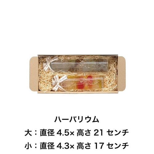 無地スマートボックス/クラフト−11 10枚×2