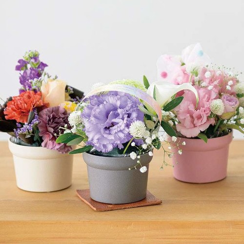 無地バンブーポット−S/ダークグレイ 10個×3