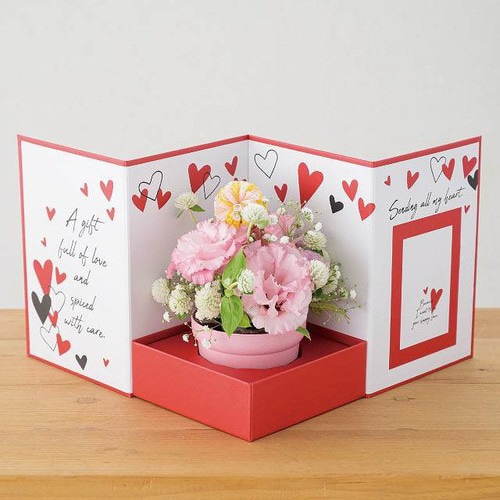 無地バンブーポット−S/ピンク 10個×3