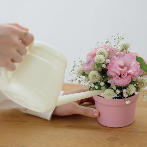 無地バンブーポット−S/ピンク 10個×3