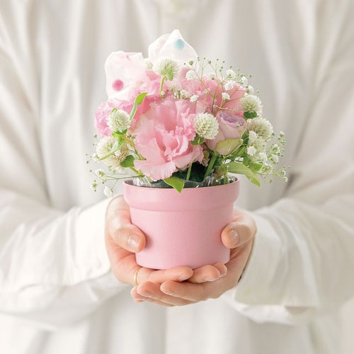 無地バンブーポット−S/ピンク 10個×3