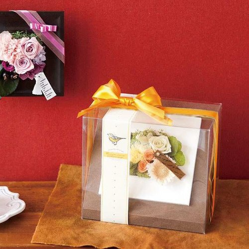 無地フラワークリアワイドBOX−WS 10枚