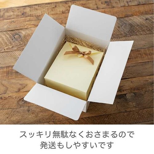 無地リボン付ペーパーバッグ−2/オフホワイト×20