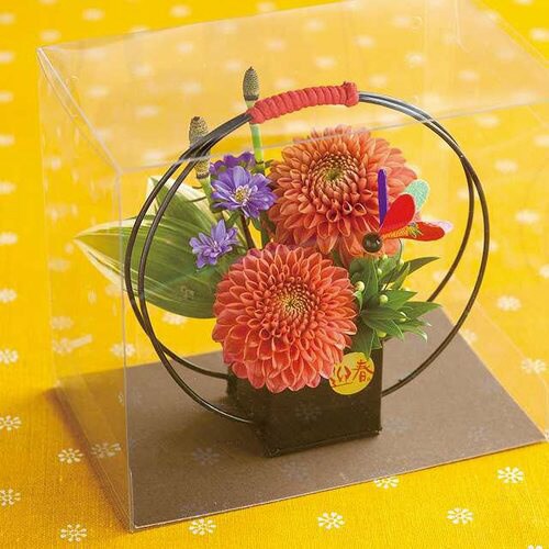 和風リングポット 10個