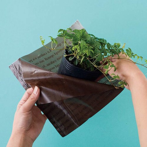 PEスクエアバッグ/ブラウン−S 50枚×5