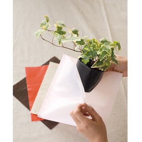 PEスクエアバッグ/クリーム−S 50枚×5