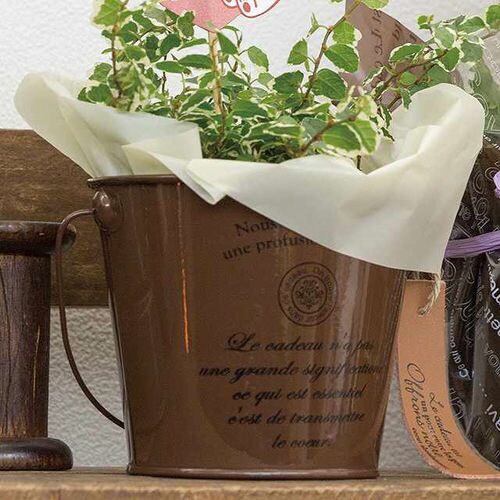 PEスクエアバッグ/クリーム−S 50枚×5