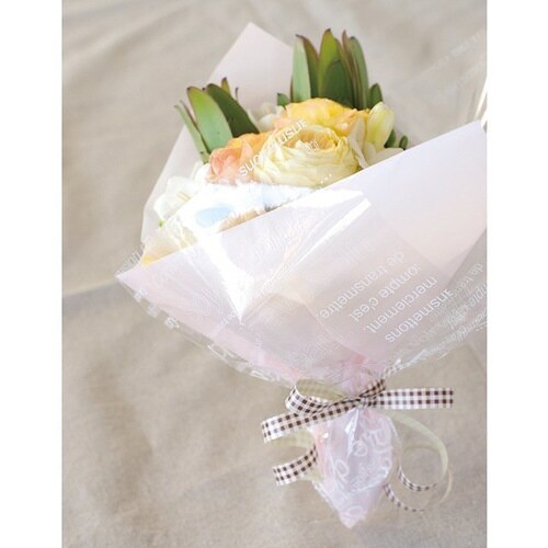 PEスクエアバッグ/クリーム−S 50枚×5