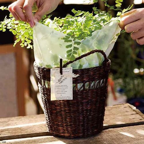 インナーバッグ−L/アイボリー 50枚×3